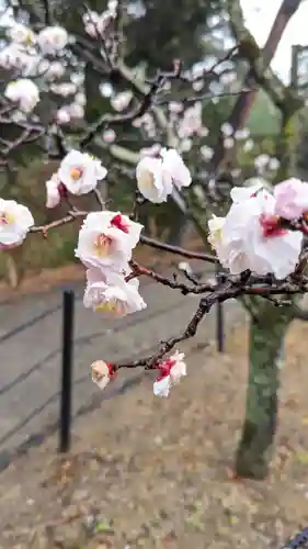 長岡天満宮(京都府)