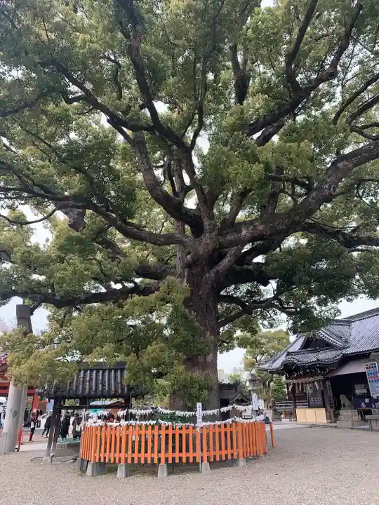 百舌鳥八幡宮(大阪府)