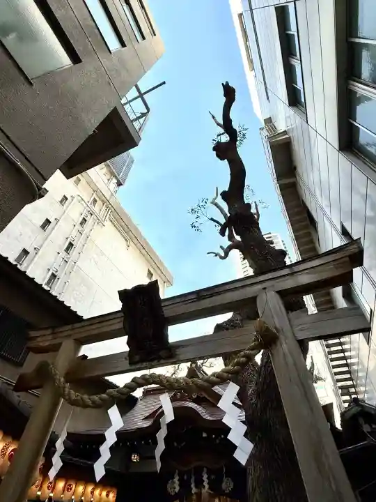 少彦名神社の{uncategorized: "未分類", other: "その他", undefined: "問題あり", building: "その他建物", grave: "お墓", sacred_gate: "鳥居", guardian: "狛犬", statue: "像", buddha: "仏像", history: "歴史", nature: "自然", garden: "庭園", animal: "動物", pagoda: "塔", temizu: "手水舎", mountain_gate: "山門・神門", sanctuary: "本殿・本堂", subordinate: "末社・摂社", art: "芸術", scenery: "景色", jizo: "地蔵", ema: "絵馬", goshuin: "御朱印", omikuji: "おみくじ", items: "授与品その他", amulet: "お守り", goshuincho: "御朱印帳", eats: "食事", festival: "お祭り", votive_dance: "神楽", shichigosan: "七五三参", wedding: "結婚式", experience: "体験その他", initially: "初詣", around: "周辺", anti_infection: "感染症対策"}