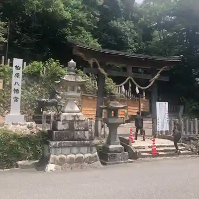 柏原八幡宮の鳥居