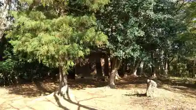 鹿島神社(茨城県)