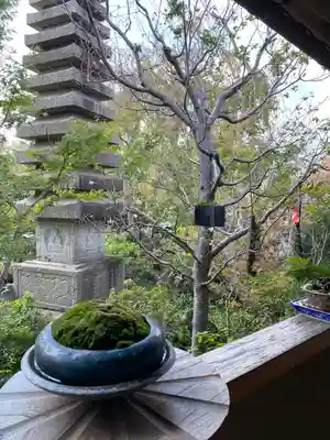 常泉寺(神奈川県)