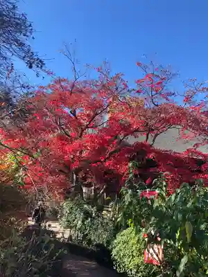 多聞院(埼玉県)