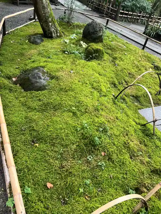 明月院(神奈川県)