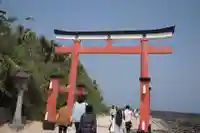 青島神社(青島神宮)の鳥居