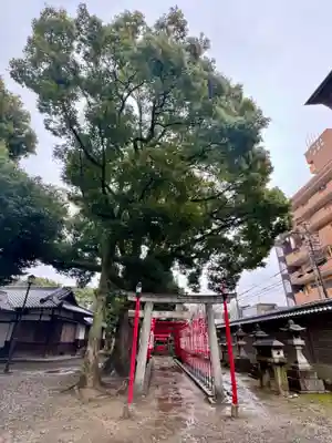 真清田神社(愛知県)