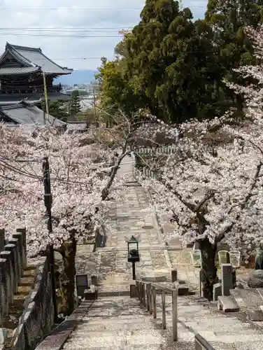 くろ谷 金戒光明寺(京都府)