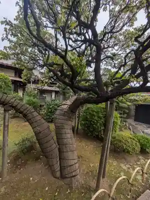 中道院(東京都)