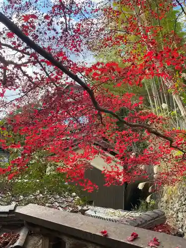 神峯山寺の自然