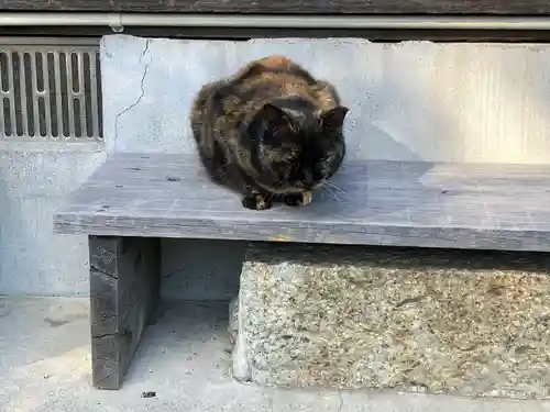 神館神社の動物