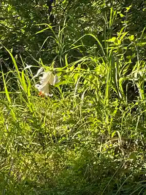 国上寺(新潟県)