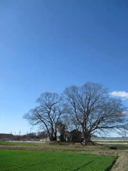 神明神社(千葉県)