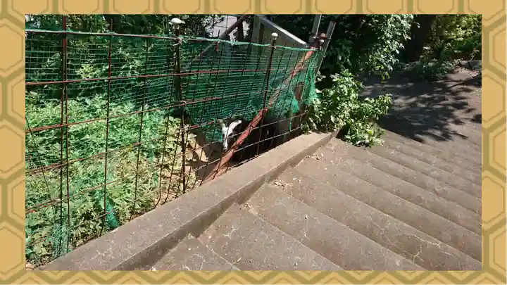 賀茂別雷神社(栃木県)