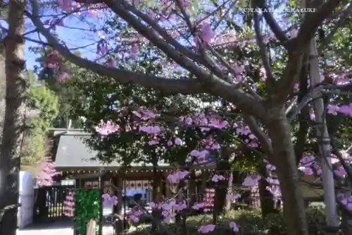 櫻木神社(千葉県)