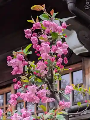 本郷氷川神社(東京都)