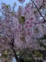 淀橋咳止地蔵尊(東京都)