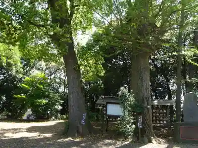 篠原八幡神社(神奈川県)