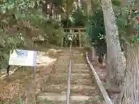 霧島神社(鹿児島県)