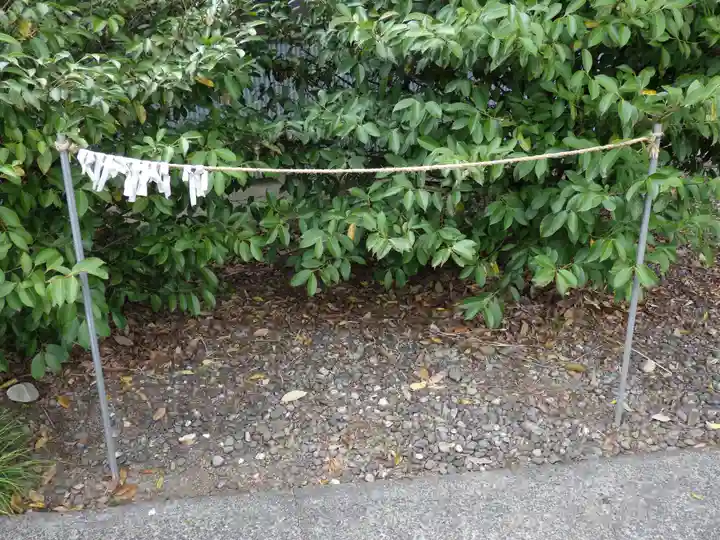 津島神社のおみくじ