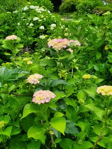 豊景神社(福島県)