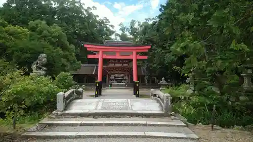 兵主大社の鳥居