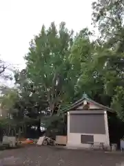 子之神社(神奈川県)