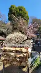 五條天神社(東京都)