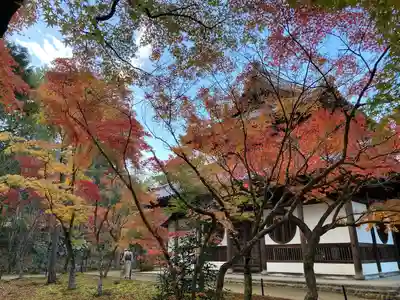 井山 宝福寺(岡山県)