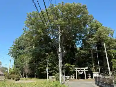 間々田八幡宮(栃木県)