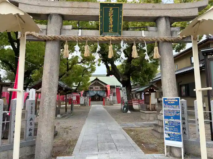 志紀長吉神社の{uncategorized: "未分類", other: "その他", undefined: "問題あり", building: "その他建物", grave: "お墓", sacred_gate: "鳥居", guardian: "狛犬", statue: "像", buddha: "仏像", history: "歴史", nature: "自然", garden: "庭園", animal: "動物", pagoda: "塔", temizu: "手水舎", mountain_gate: "山門・神門", sanctuary: "本殿・本堂", subordinate: "末社・摂社", art: "芸術", scenery: "景色", jizo: "地蔵", ema: "絵馬", goshuin: "御朱印", omikuji: "おみくじ", items: "授与品その他", amulet: "お守り", goshuincho: "御朱印帳", eats: "食事", festival: "お祭り", votive_dance: "神楽", shichigosan: "七五三参", wedding: "結婚式", experience: "体験その他", initially: "初詣", around: "周辺", anti_infection: "感染症対策"}