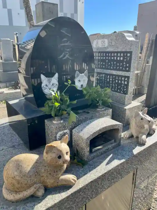 本教寺の{uncategorized: "未分類", other: "その他", undefined: "問題あり", building: "その他建物", grave: "お墓", sacred_gate: "鳥居", guardian: "狛犬", statue: "像", buddha: "仏像", history: "歴史", nature: "自然", garden: "庭園", animal: "動物", pagoda: "塔", temizu: "手水舎", mountain_gate: "山門・神門", sanctuary: "本殿・本堂", subordinate: "末社・摂社", art: "芸術", scenery: "景色", jizo: "地蔵", ema: "絵馬", goshuin: "御朱印", omikuji: "おみくじ", items: "授与品その他", amulet: "お守り", goshuincho: "御朱印帳", eats: "食事", festival: "お祭り", votive_dance: "神楽", shichigosan: "七五三参", wedding: "結婚式", experience: "体験その他", initially: "初詣", around: "周辺", anti_infection: "感染症対策"}