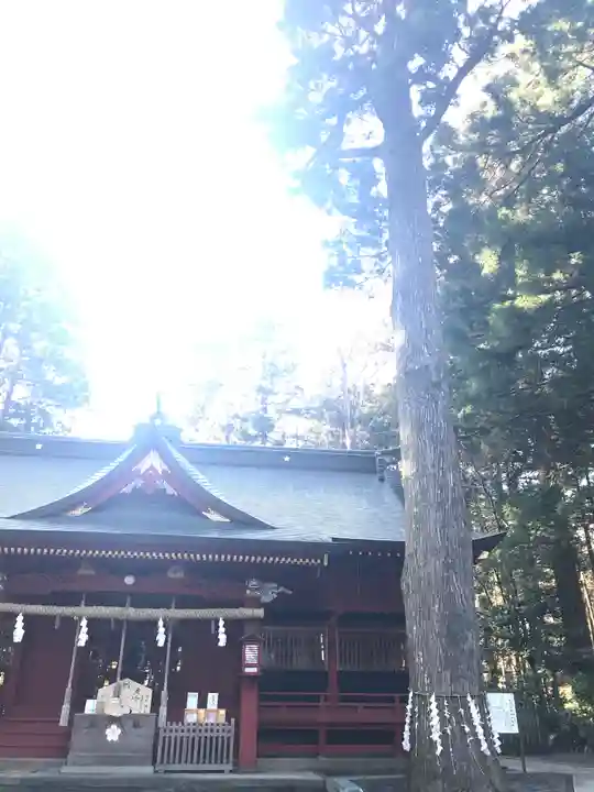 富士山東口本宮 冨士浅間神社の自然