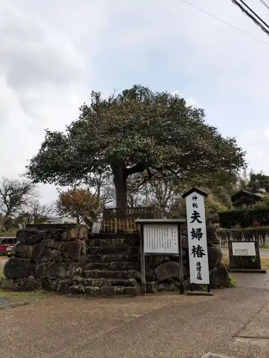 八重垣神社(島根県)