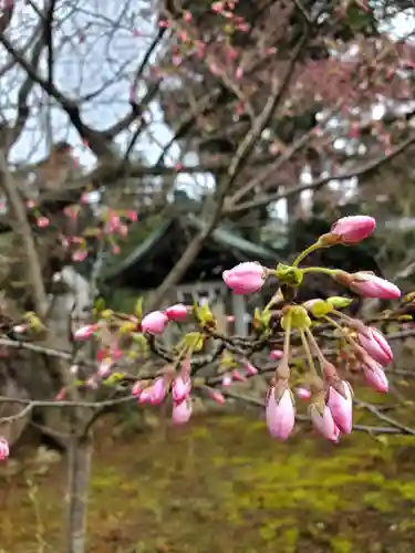 神炊館神社 ⁂奥州須賀川総鎮守⁂(福島県)