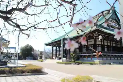 大念佛寺の本殿・本堂