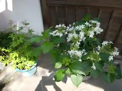 円覚寺(神奈川県)