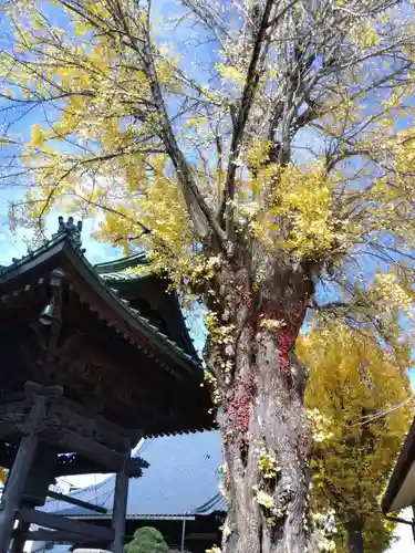 長慶寺(福井県)