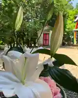 滑川神社 - 仕事と子どもの守り神(福島県)