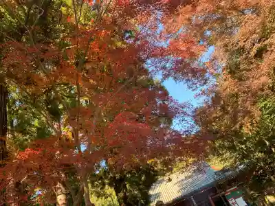 観心寺(大阪府)