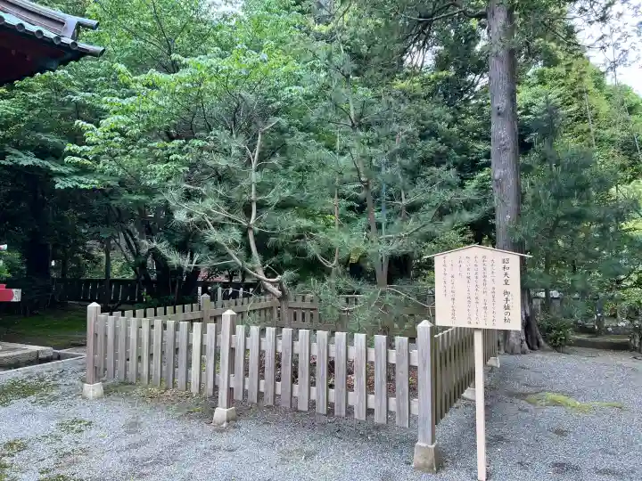 伊豆山神社の{uncategorized: "未分類", other: "その他", undefined: "問題あり", building: "その他建物", grave: "お墓", sacred_gate: "鳥居", guardian: "狛犬", statue: "像", buddha: "仏像", history: "歴史", nature: "自然", garden: "庭園", animal: "動物", pagoda: "塔", temizu: "手水舎", mountain_gate: "山門・神門", sanctuary: "本殿・本堂", subordinate: "末社・摂社", art: "芸術", scenery: "景色", jizo: "地蔵", ema: "絵馬", goshuin: "御朱印", omikuji: "おみくじ", items: "授与品その他", amulet: "お守り", goshuincho: "御朱印帳", eats: "食事", festival: "お祭り", votive_dance: "神楽", shichigosan: "七五三参", wedding: "結婚式", experience: "体験その他", initially: "初詣", around: "周辺", anti_infection: "感染症対策"}