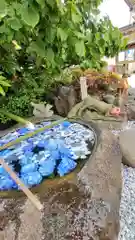 東京羽田 穴守稲荷神社の手水