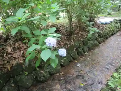 東霧島神社(宮崎県)