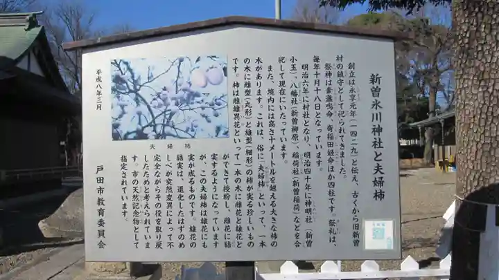 新曽氷川神社(埼玉県)
