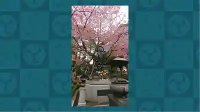 密藏院(埼玉県)