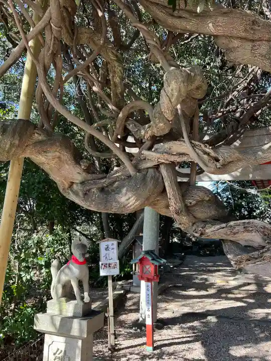 豊藤稲荷神社の自然