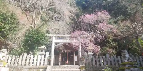 大豊神社の鳥居