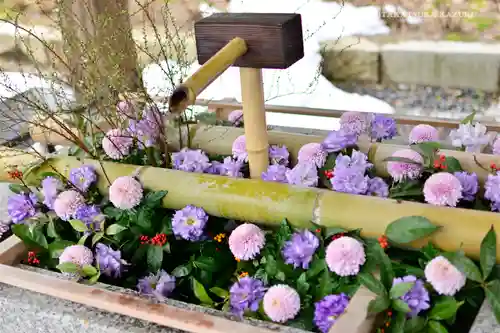 白山神社の手水舎