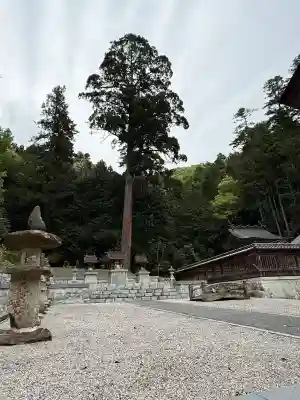 安志加茂神社の{uncategorized: "未分類", other: "その他", undefined: "問題あり", building: "その他建物", grave: "お墓", sacred_gate: "鳥居", guardian: "狛犬", statue: "像", buddha: "仏像", history: "歴史", nature: "自然", garden: "庭園", animal: "動物", pagoda: "塔", temizu: "手水舎", mountain_gate: "山門・神門", sanctuary: "本殿・本堂", subordinate: "末社・摂社", art: "芸術", scenery: "景色", jizo: "地蔵", ema: "絵馬", goshuin: "御朱印", omikuji: "おみくじ", items: "授与品その他", amulet: "お守り", goshuincho: "御朱印帳", eats: "食事", festival: "お祭り", votive_dance: "神楽", shichigosan: "七五三参", wedding: "結婚式", experience: "体験その他", initially: "初詣", around: "周辺", anti_infection: "感染症対策"}