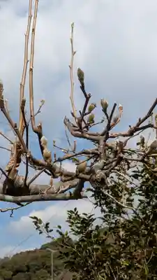 惠心院（恵心院）(京都府)