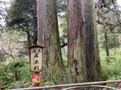 笠森寺(千葉県)